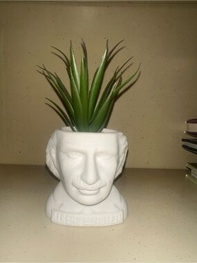 White Einstein Bust Planter with Green Faux Succulent